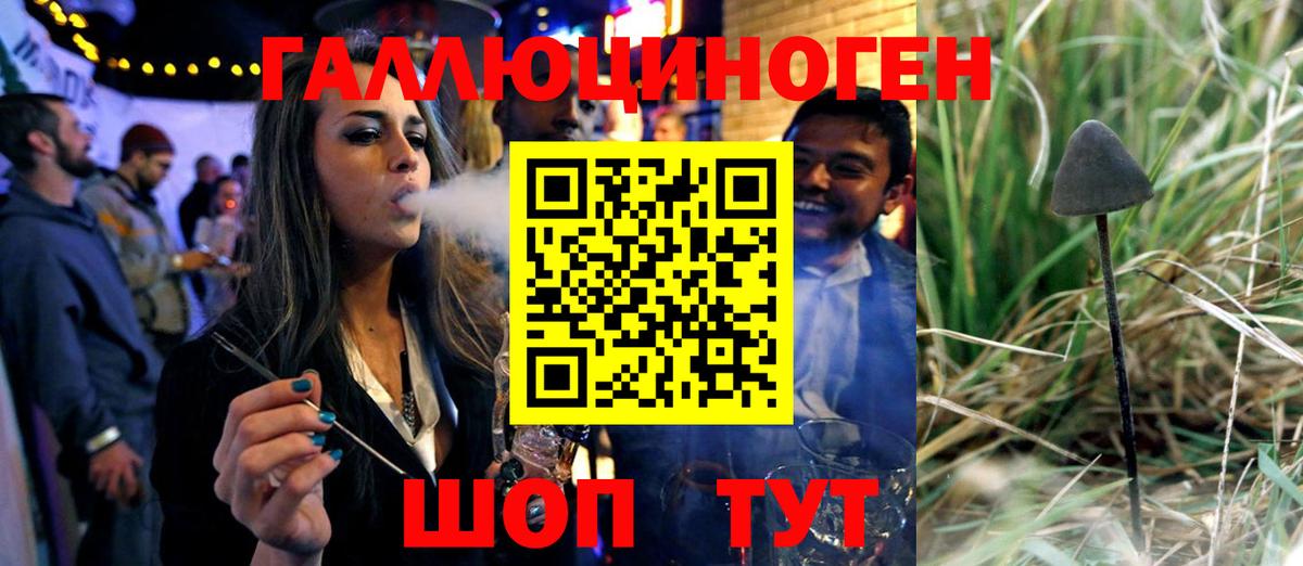 как найти закладки  Вход с VPN  Ярцево  Псилоцибиновые грибы прущие грибы 